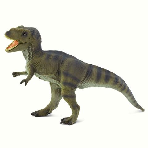 Tyrannosaurus rex  / Dinosaurs- Animals   