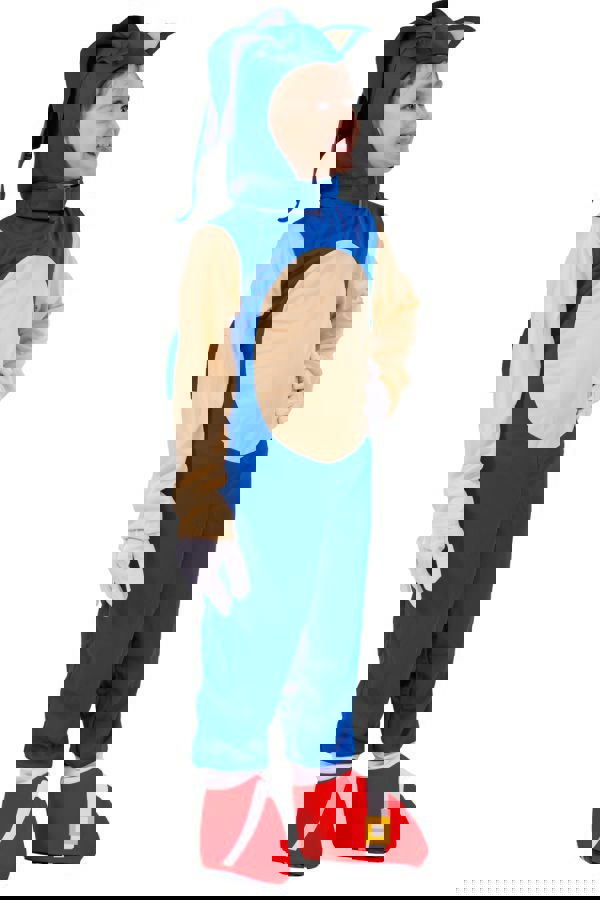 Αποκριάτικη Στολή Σκαντζόχοιρος 