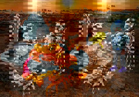 Dino Rise - Starter Pack Πολεμώντας Τον Σκορπιό Της Φωτιάς 70909 Playmobil  / Playmobil   