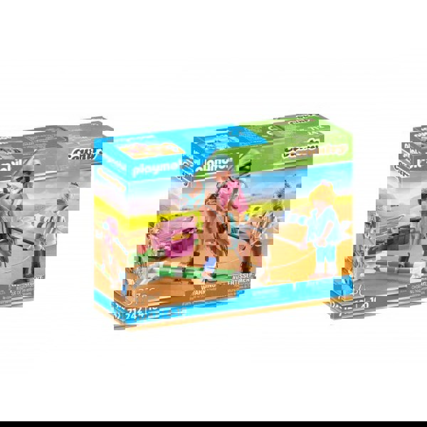 Riding horse training 