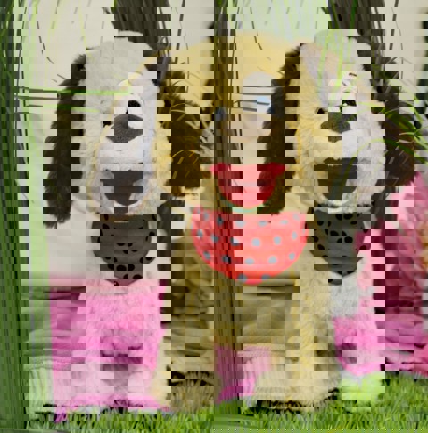 Rocco the Dog walks and makes sounds  / Plush Toys   