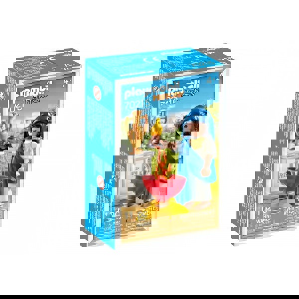 Playmobil History Θεά Εστία 70215 