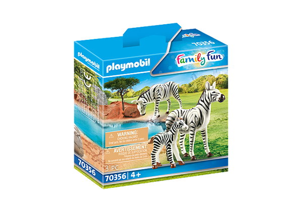 Two zebras with their little one 