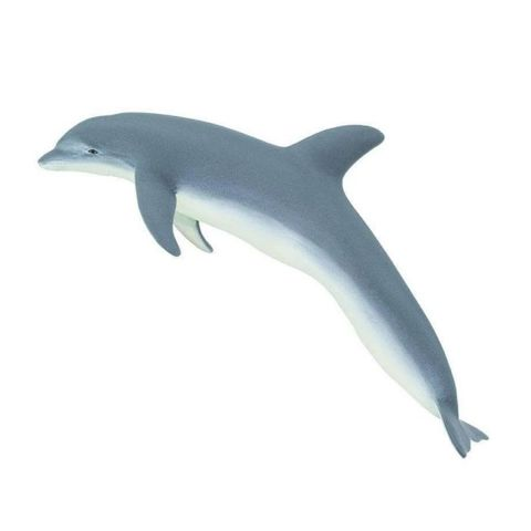 Bottlenose Dolphin  / Δεινόσαυροι-Ζώα   