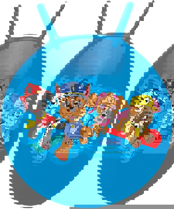 Paw Patrol Inflatable Ball 