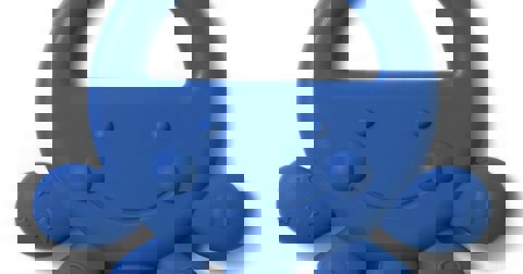 Silicone chewing gum Babyono Octopus  / Babyono-Sophie   