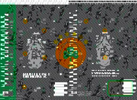 Μπλοκ ζωγραφικής - ΠΑΟ BASKETBALL 2  / Σχολικά Είδη   