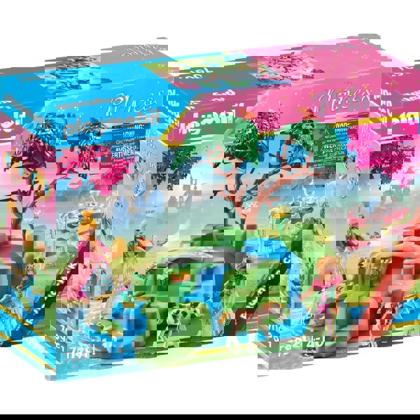 Playmobil Princess Princesses Prince Pick Nick 