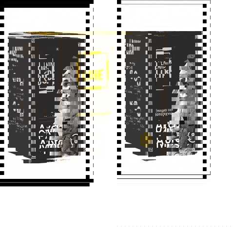 Ancient Egypt Learning Cube (LC-010)  / EKPAIDEUTIKA   