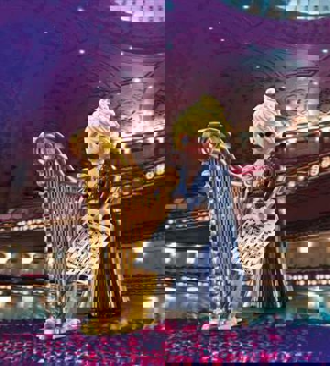 Playmobil Friends Αρπίστρια  / Playmobil   