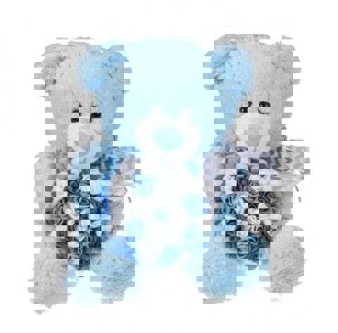 TIT0 28CM TEDDY BEAR WITH FLOWERED HEART  / Other Plush Toys   