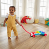  Fisher-Price® Εκπαιδευτικό Μεγάλο Ξυλόφωνο – Ελληνικά & Αγγλικά HJK36 