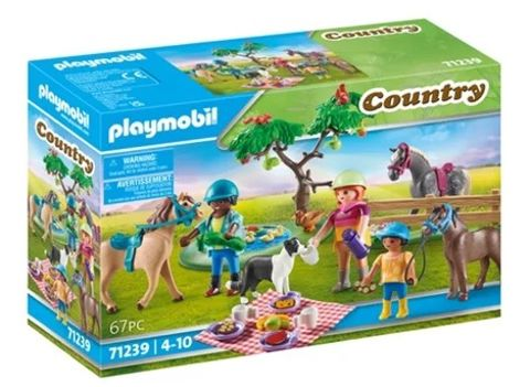 Picnic in the countryside  / Playmobil   